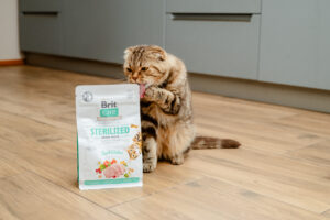 Czym różni się karma dla kota po sterylizacji od standardowej?